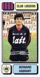 Sticker Bernard Habrant - Football Belgium 1982-1983 - Panini