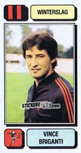Cromo Vince Briganti - Football Belgium 1982-1983 - Panini