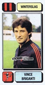 Sticker Vince Briganti - Football Belgium 1982-1983 n. 313 - Panini