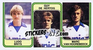Cromo Ludo Brits / Guy de Hertog / Marc van Hoorebeeck - Football Belgium 1982-1983 - Panini