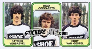 Cromo Patrick Versaevel / Rigo Coekaerts / Eddy van Gestel - Football Belgium 1982-1983 - Panini