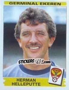 Sticker Herman Helleputte - Football Belgium 1995-1996 - Panini