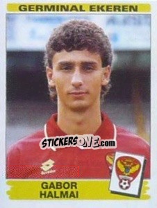 Sticker Gabor Halmai - Football Belgium 1995-1996 - Panini