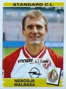 Sticker Nebosja Malbasa - Football Belgium 1995-1996 - Panini