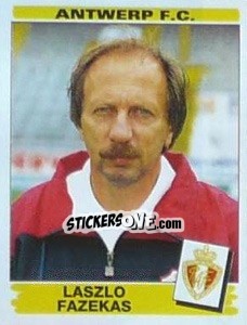 Sticker Laszlo Fazekas - Football Belgium 1995-1996 - Panini