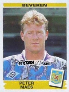 Cromo Peter Maes - Football Belgium 1995-1996 n. 66 - Panini
