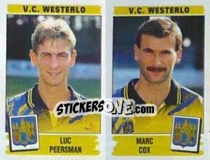 Cromo Luc Peersman / Marc Cox - Football Belgium 1995-1996 - Panini