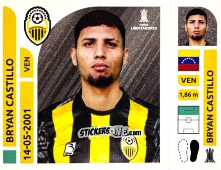 Figurina Bryan Castillo