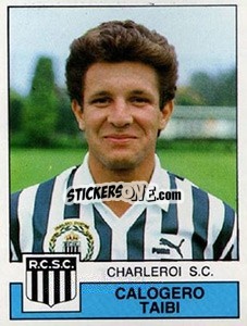 Cromo Calogero Taibi - Football Belgium 1987-1988 - Panini