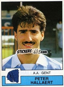 Sticker Peter Hallaert - Football Belgium 1987-1988 - Panini