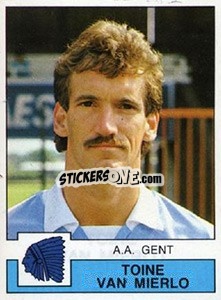 Sticker Toine van Mierlo - Football Belgium 1987-1988 - Panini