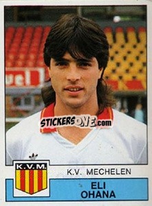 Sticker Eli Ohana - Football Belgium 1987-1988 - Panini