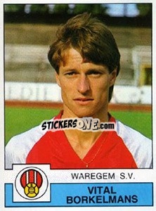 Cromo Vital Borkelmans - Football Belgium 1987-1988 n. 302 - Panini
