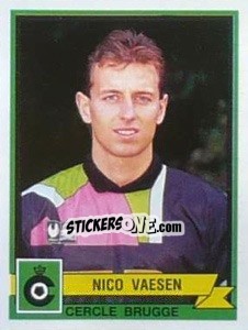 Figurina Nico Vaesen - Football Belgium 1993-1994 - Panini
