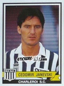 Sticker Cedomir Janevski - Football Belgium 1993-1994 - Panini