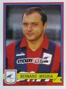Figurina Bernard Wegria - Football Belgium 1993-1994 - Panini