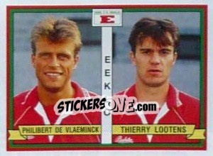 Figurina Philibert De Vlaeminck / Thierry Lootens - Football Belgium 1993-1994 - Panini