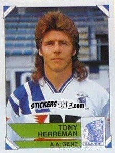 Sticker Tony Herreman - Football Belgium 1994-1995 - Panini