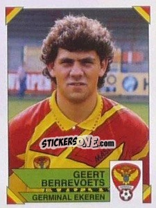 Cromo Geert Berrevoets - Football Belgium 1994-1995 - Panini