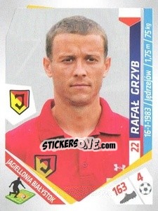 Sticker Grzyb - Ekstraklasa 2013-2014 n. 73 - Panini