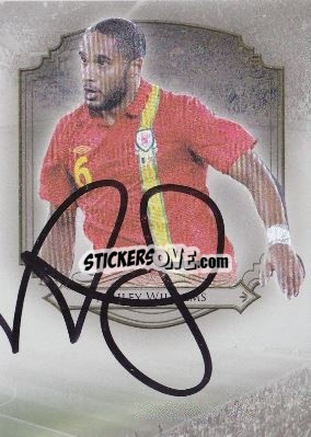 Sticker Ashley Williams