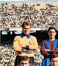 Cromo Squadra 1 - Tutti i Calciatori 1964-65
 n. 64 - MIRA