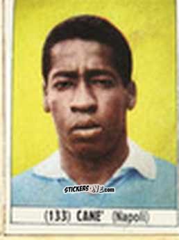 Sticker Cane' - Calcio Italia 1965-66
 n. 133 - Baggioli