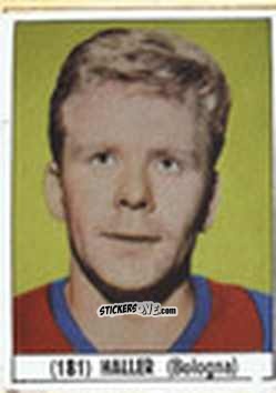 Sticker Haller - Calcio Italia 1965-66
 n. 181 - Baggioli