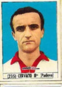 Cromo Cervato II - Calcio Italia 1965-66
 n. 235 - Baggioli