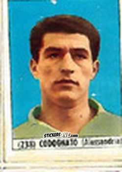 Figurina Codognato - Calcio Italia 1965-66
 n. 238 - Baggioli