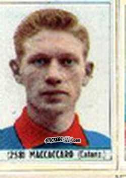 Sticker Maccaccaro - Calcio Italia 1965-66
 n. 258 - Baggioli