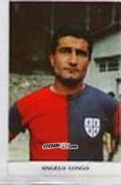 Figurina Miguel Angelo Longo - Caccia ai campioni 1966-67 n. 45 - Fidass