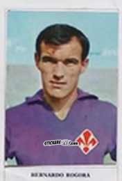 Sticker Bernardo Rogora