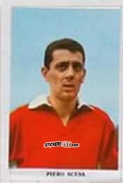 Figurina Piero Scesa - Caccia ai campioni 1966-67 n. 135 - Fidass