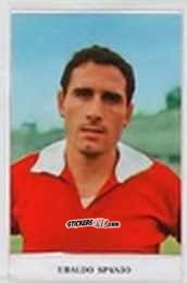 Sticker Ubaldo Spanio - Caccia ai campioni 1966-67 n. 136 - Fidass