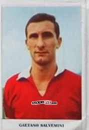 Figurina Gaetano Salvemini - Caccia ai campioni 1966-67 n. 143 - Fidass
