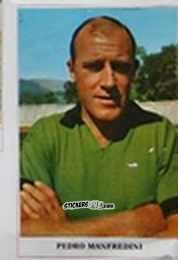 Sticker Pedro Manfredini - Caccia ai campioni 1966-67 n. 215 - Fidass