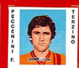 Sticker Peccenini - Calciatori 1977-78
 n. 163 - TuttoCalcio