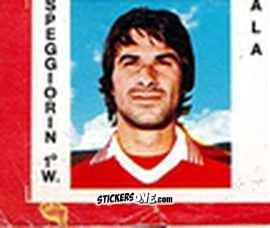 Figurina Speggiorin - Calciatori 1977-78
 n. 183 - TuttoCalcio