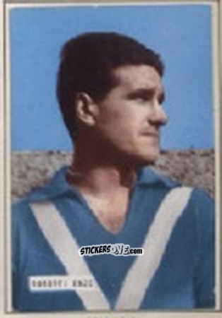 Cromo ROBOTTI - Campionato 1965-66
 n. 29 - EDIZIONE FILATELICHE
