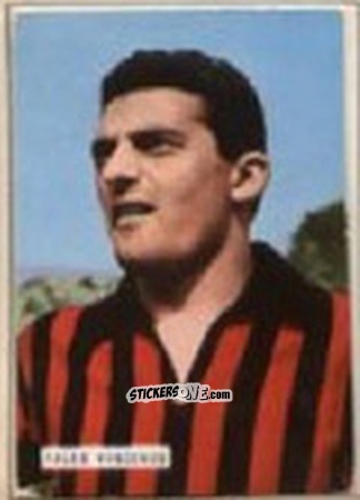 Figurina FALEO - Campionato 1965-66
 n. 82 - EDIZIONE FILATELICHE
