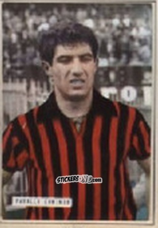 Cromo NOCERA - Campionato 1965-66
 n. 88 - EDIZIONE FILATELICHE
