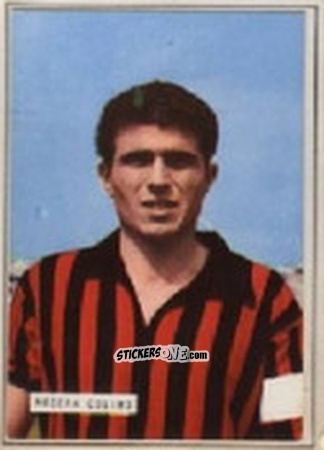 Sticker Nocera - Campionato 1965-66
 n. 89 - EDIZIONE FILATELICHE
