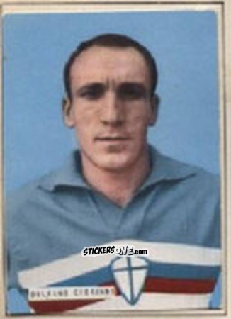 Figurina DELFINO - Campionato 1965-66
 n. 171 - EDIZIONE FILATELICHE
