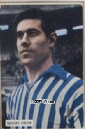 Cromo MASSEI - Campionato 1965-66
 n. 189 - EDIZIONE FILATELICHE
