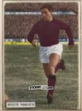 Figurina ROSATO - Campionato 1965-66
 n. 200 - EDIZIONE FILATELICHE
