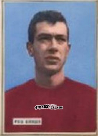 Figurina PUIA - Campionato 1965-66
 n. 201 - EDIZIONE FILATELICHE
