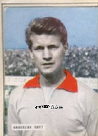 Sticker Anderson - Campionato 1965-66
 n. 217 - EDIZIONE FILATELICHE
