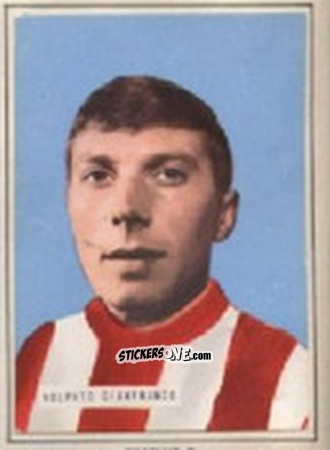 Sticker VOLPATO - Campionato 1965-66
 n. 224 - EDIZIONE FILATELICHE
