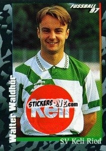 Figurina Walter Waldhör - Österreichische Fußball-Bundesliga 1996-1997 n. 172 - Panini